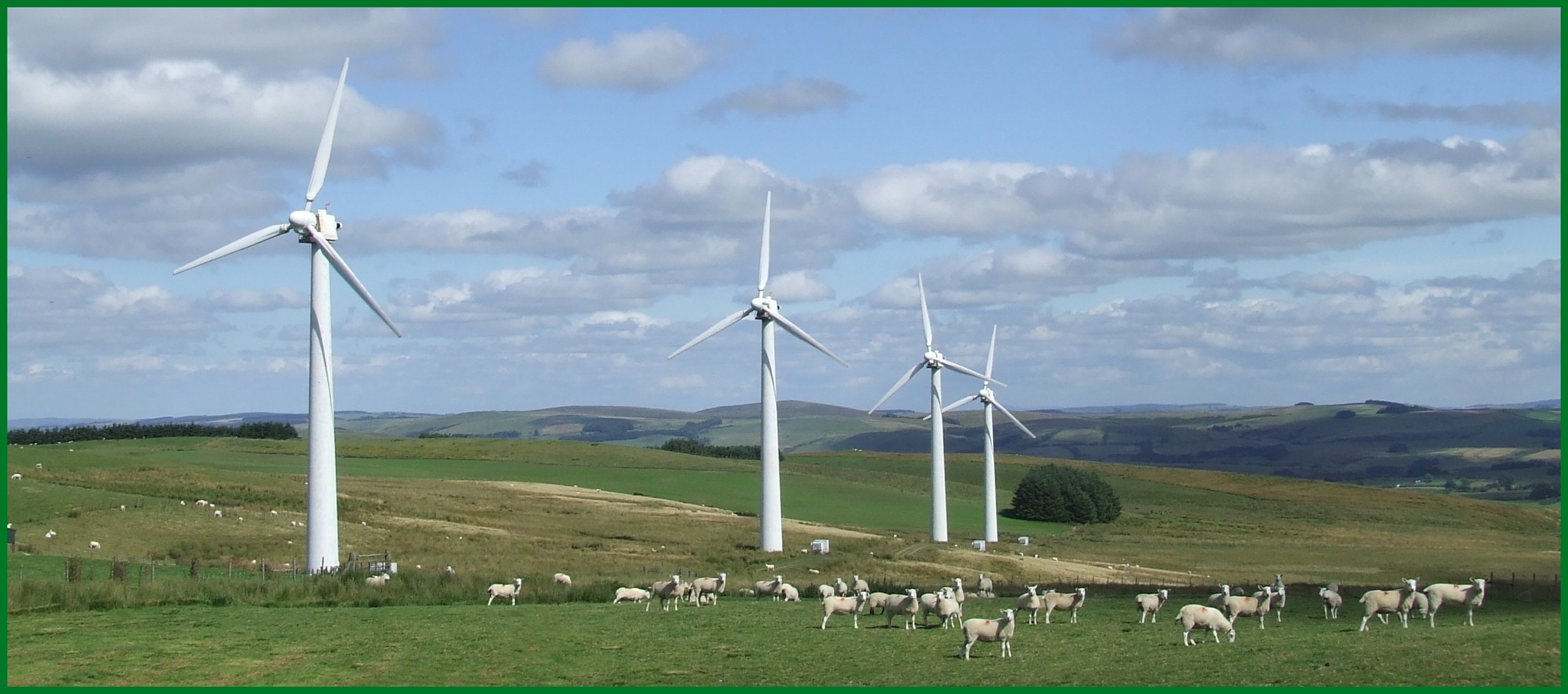 WINDMILL AND SHEEP Bill Bagley Photography